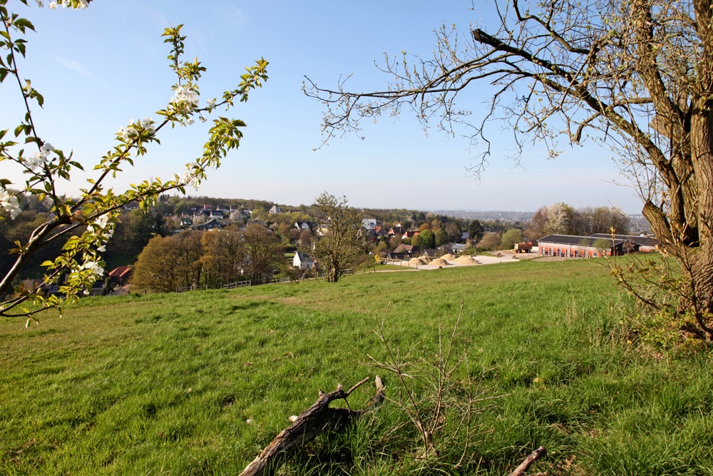 Weitblick am Kressenberg in Niederbonsfeld