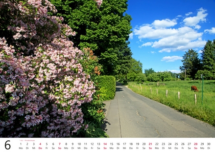 Kalender 2026 „Elfringhauser Schweiz"