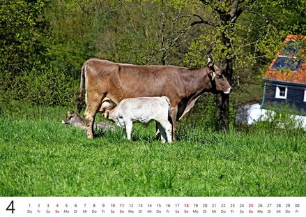 Kalender 2027 „Elfringhauser Schweiz"